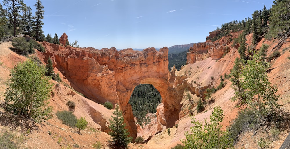 landscape photography of canyon