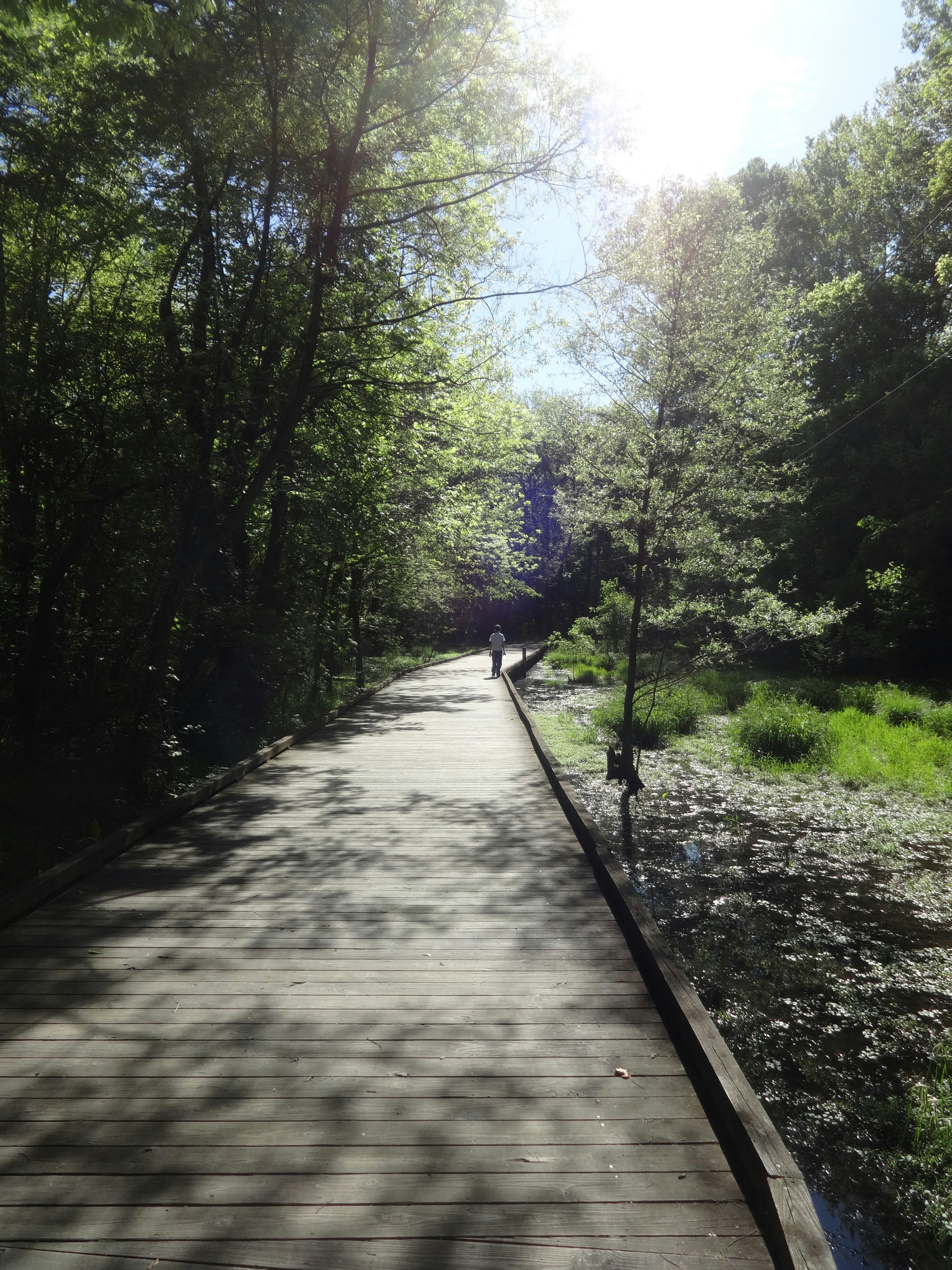 Photo by bluestarlightart