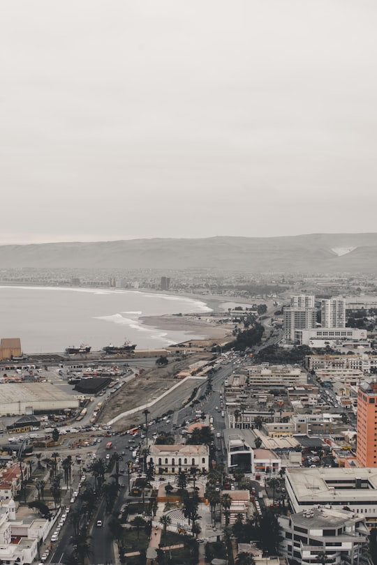 aerial photography of city near body of water during daytime in Arica Chile