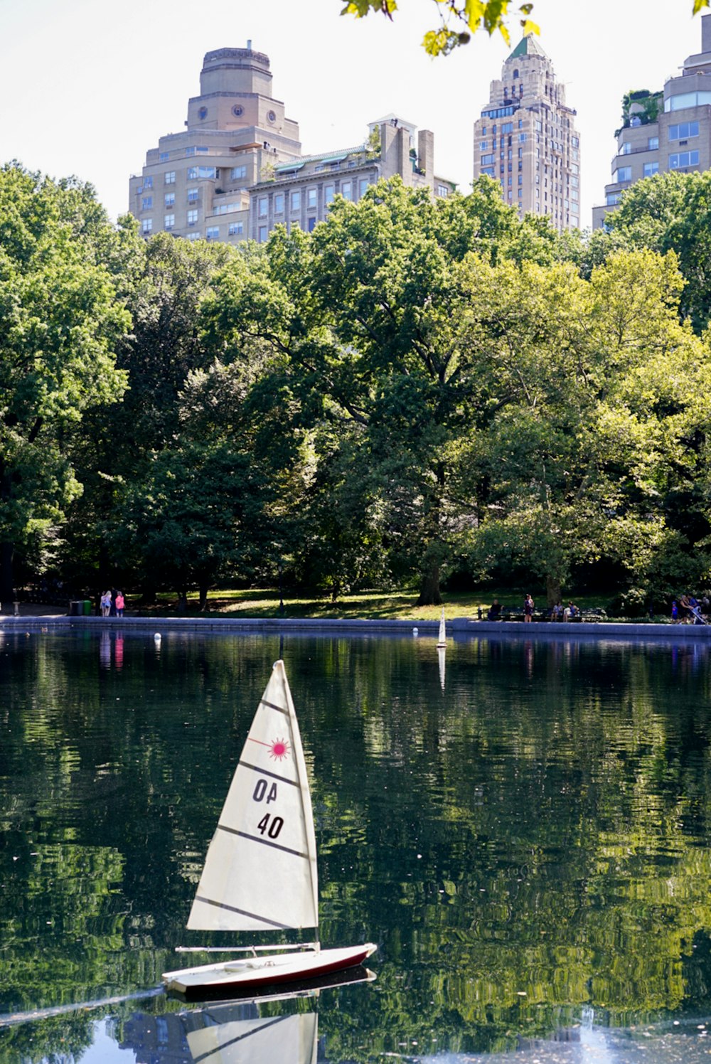 sailing white boat during daytime