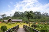 A rustic cabin with a sloping roof is situated amidst a lush green landscape, surrounded by trees and rolling hills. A wooden bridge leads the viewer's eye towards the cabin. In the vicinity, small, semi-circular glamping pods are visible, blending harmoniously with the natural surroundings. The sky is partly cloudy, adding a serene and tranquil atmosphere.