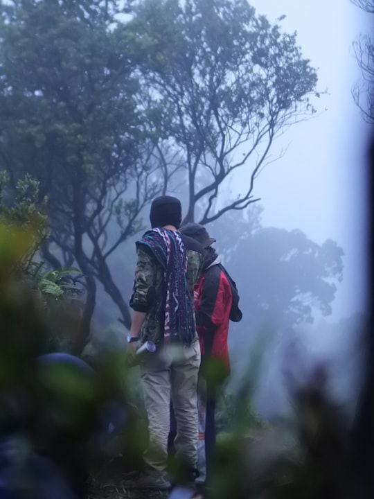 two men standing beside trees in Mount Papandayan Indonesia