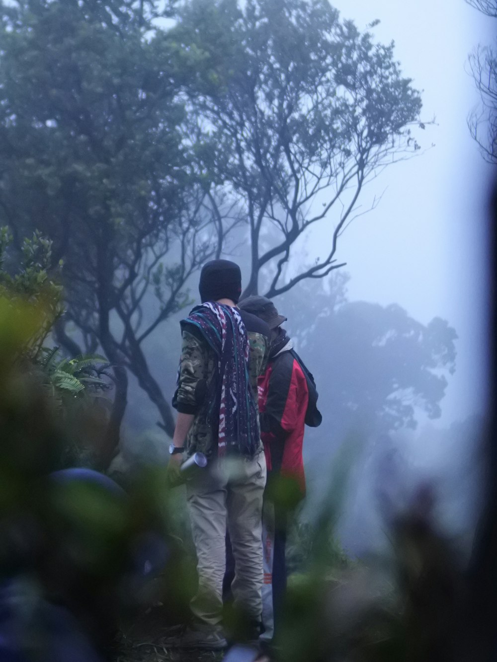 two men standing beside trees