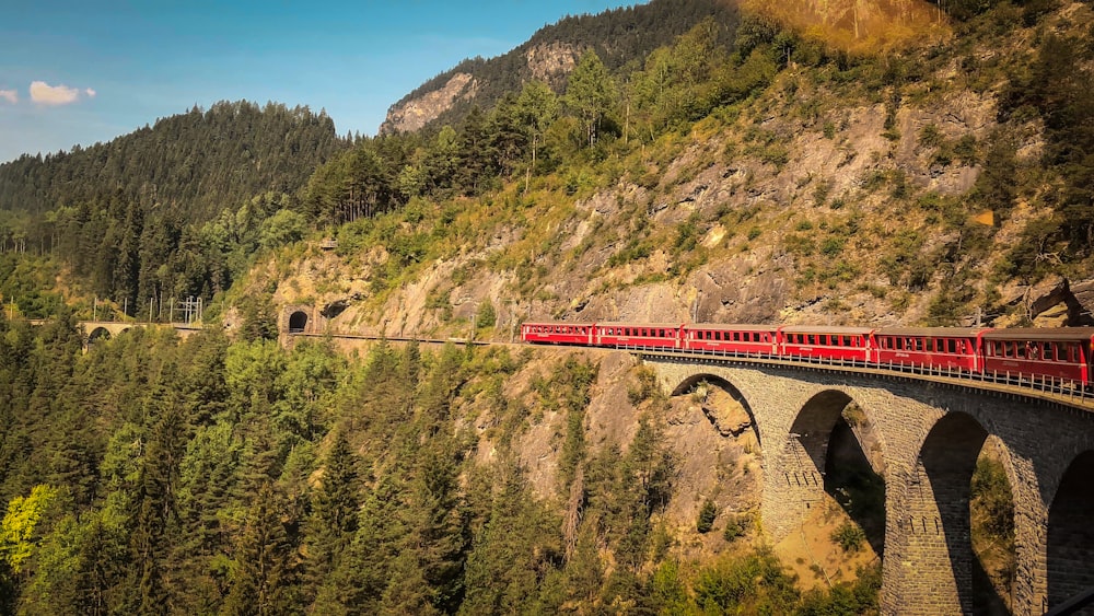 red train on focus photography