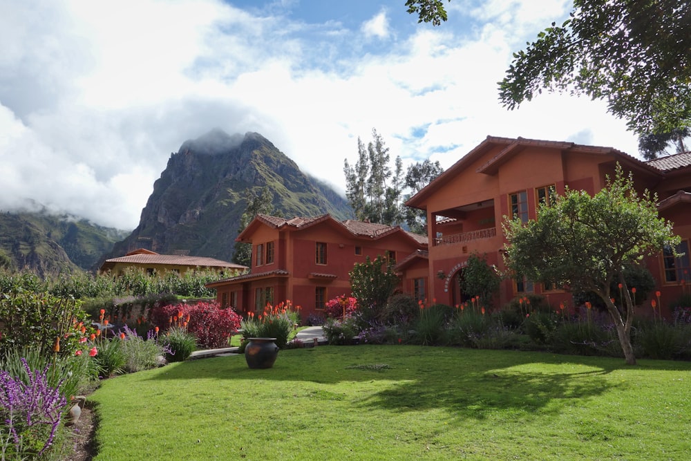 brown house surrounded by plants