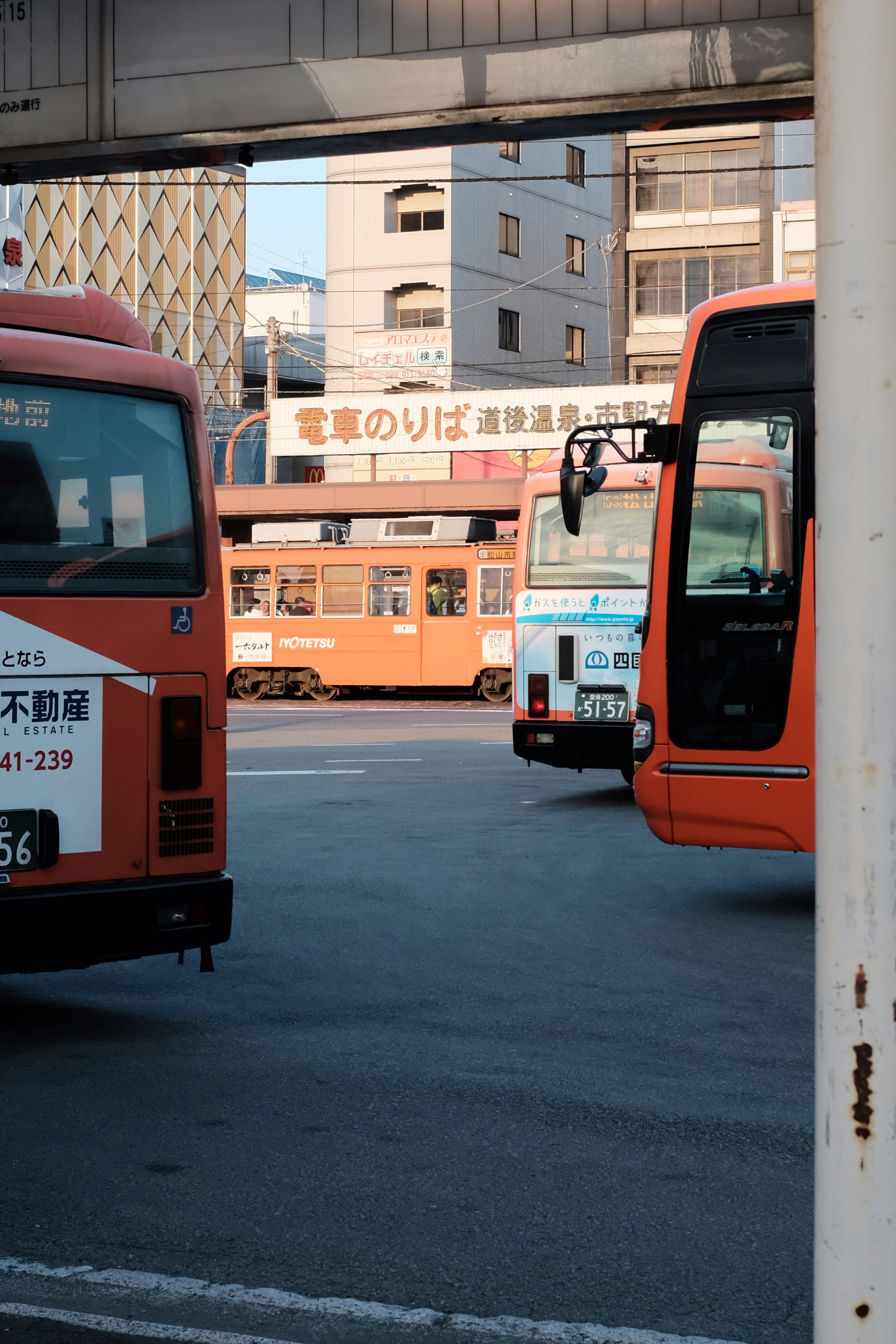 Premium Buses and Coaches Sale