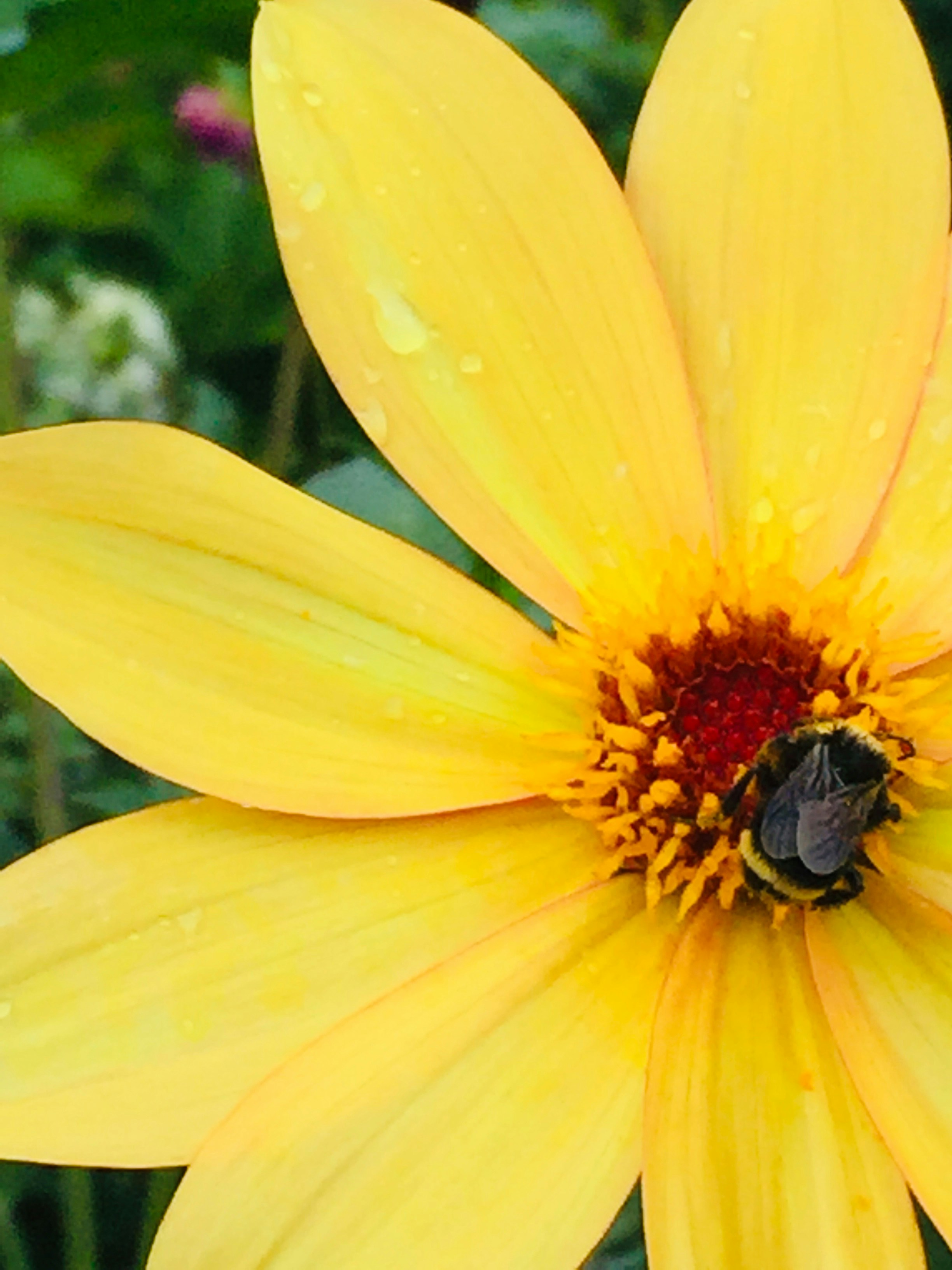 Photo by livinscrupulum