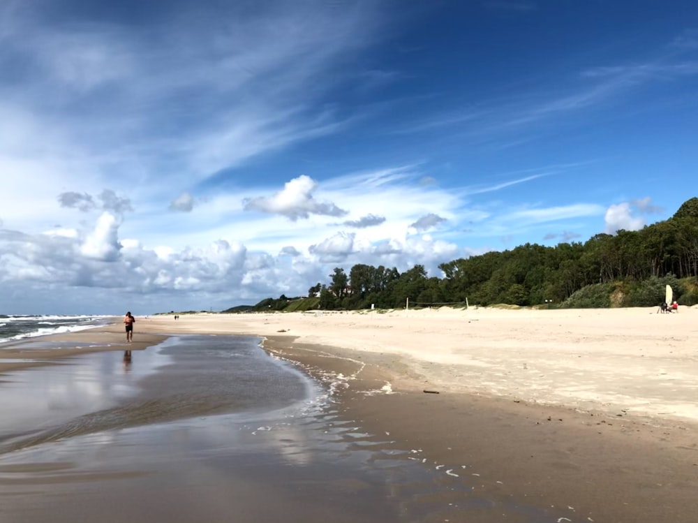 person walking on seashore during daytime