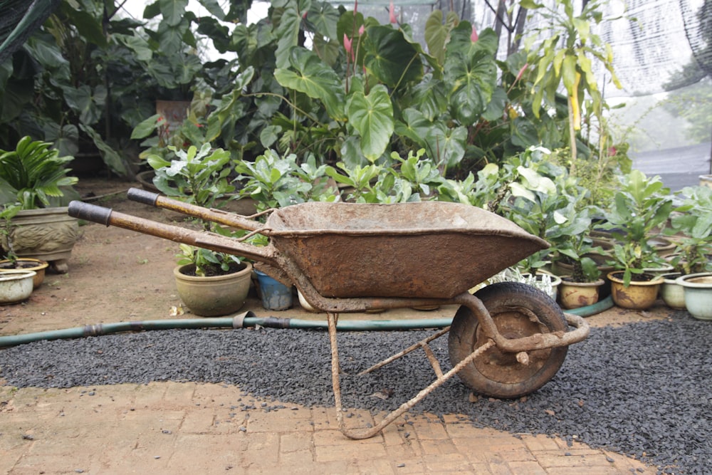 um carrinho de mão está sentado em um jardim cheio de vasos de plantas