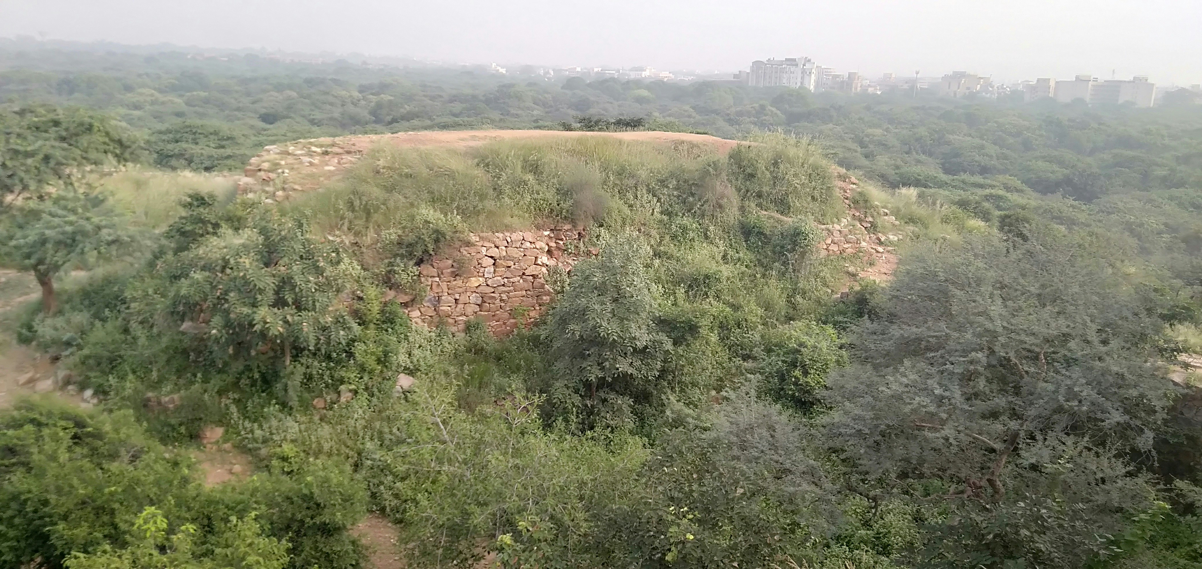 Ancient stone walls of Great Zimbabwe ruins surrounded by green vegetation