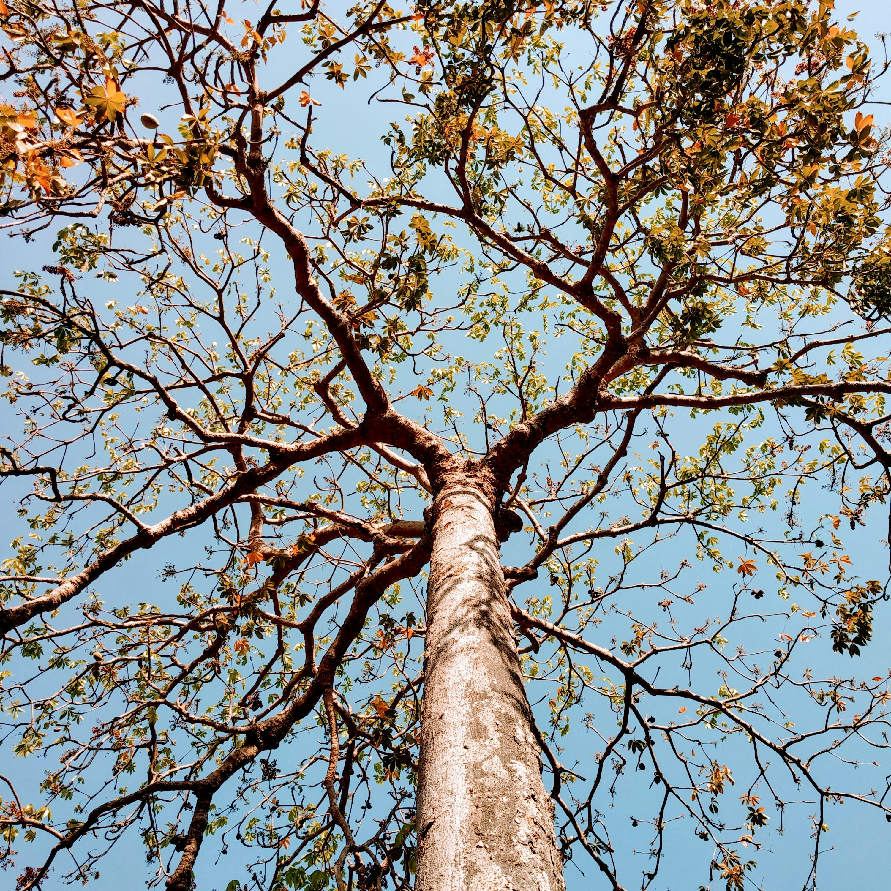 Photo by virajrajankar