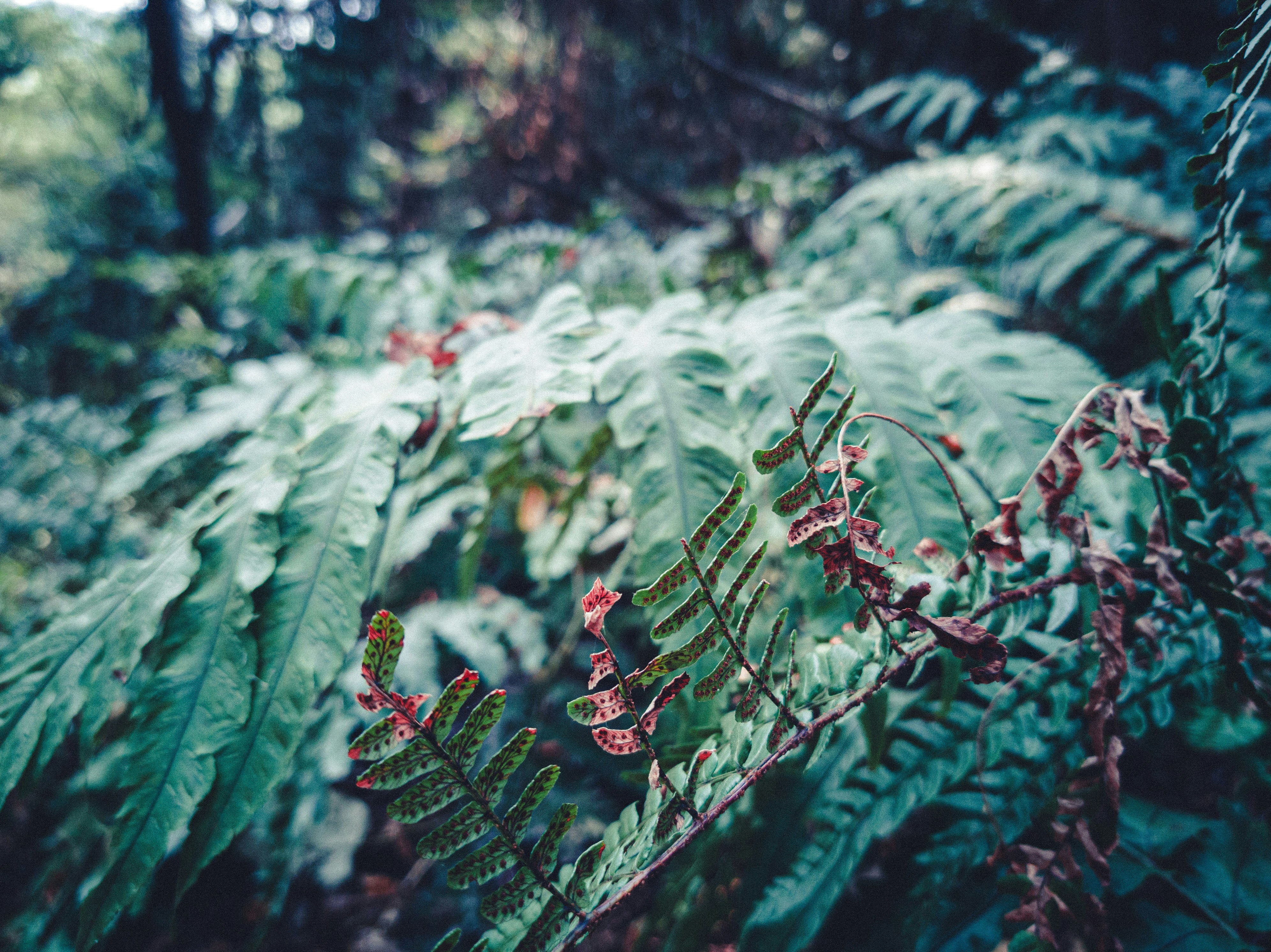 Photo by xiexianghua