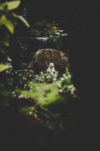 A serene scene of a person meditating in a sunlit garden, symbolizing mental wellness.