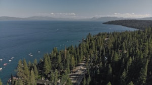 A vast body of water stretches across the image with a mountainous backdrop in the distance. The shoreline is lined with dense forest, primarily composed of evergreen trees. Several boats are visible on the water, indicating recreational activity. A road with a few vehicles runs alongside the forest, suggesting access to the area.