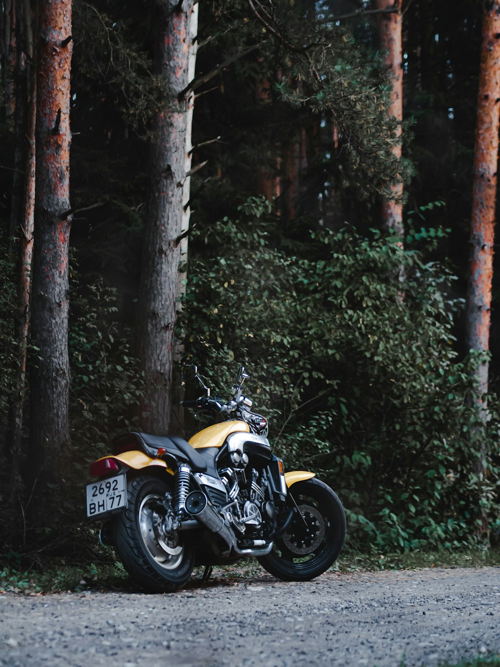 black motorcycle beside tree