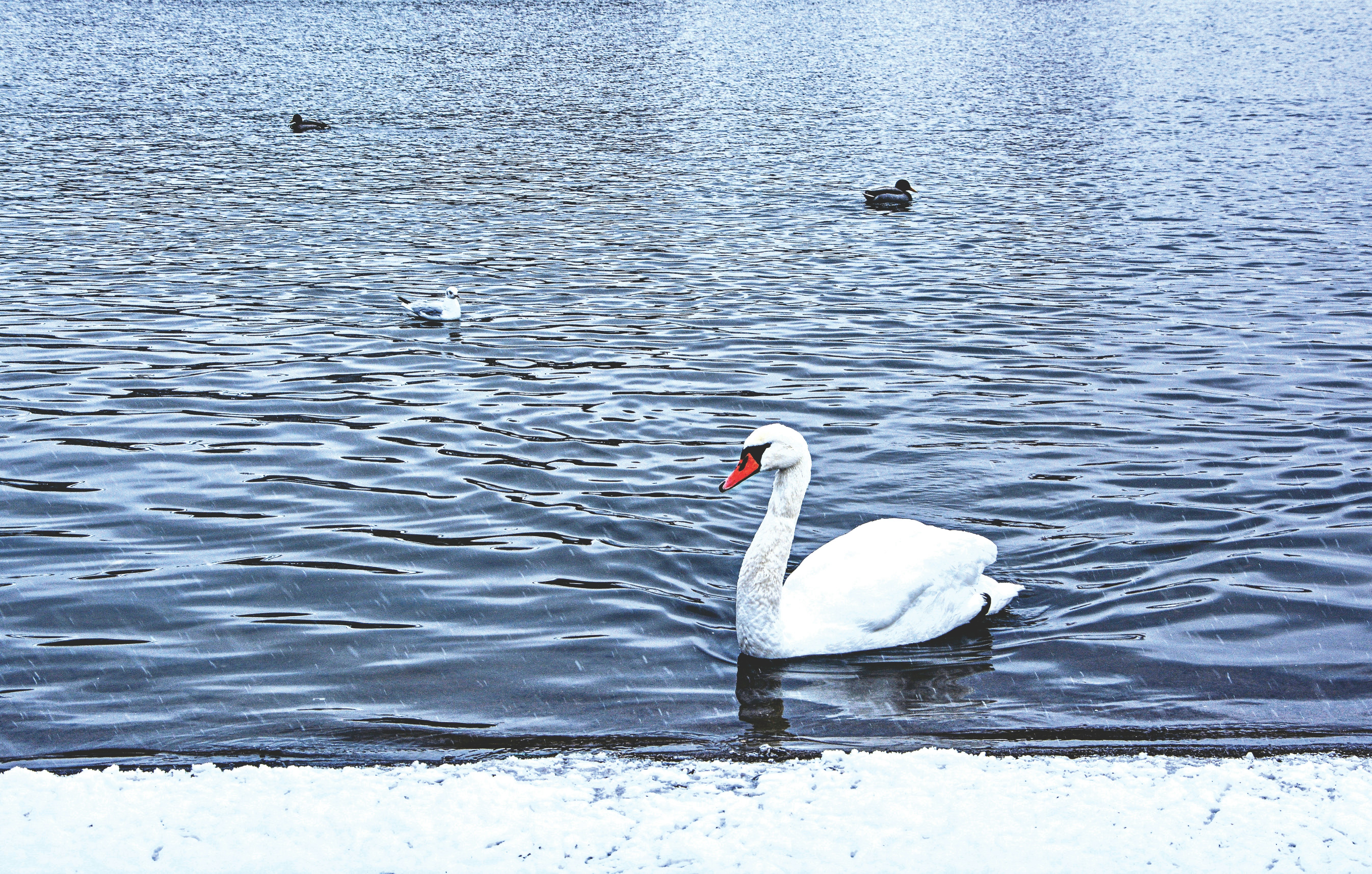 Photo by jankubita