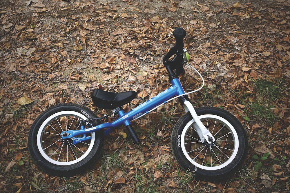 blue BMX bike