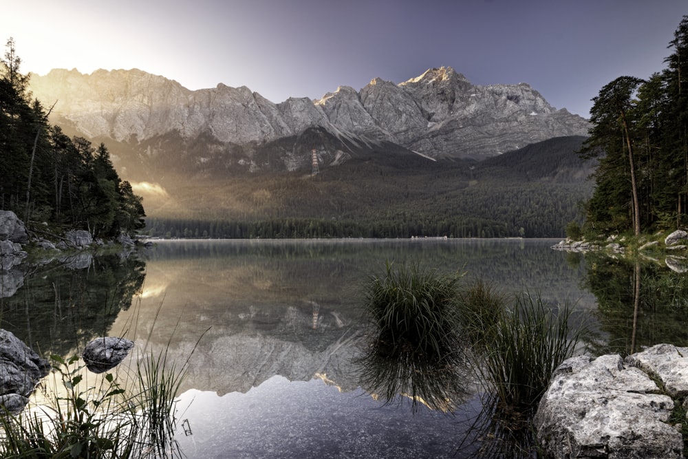 close-up photography of water near mountain