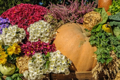 assorted flower and vegetable lot cornucopia teams background