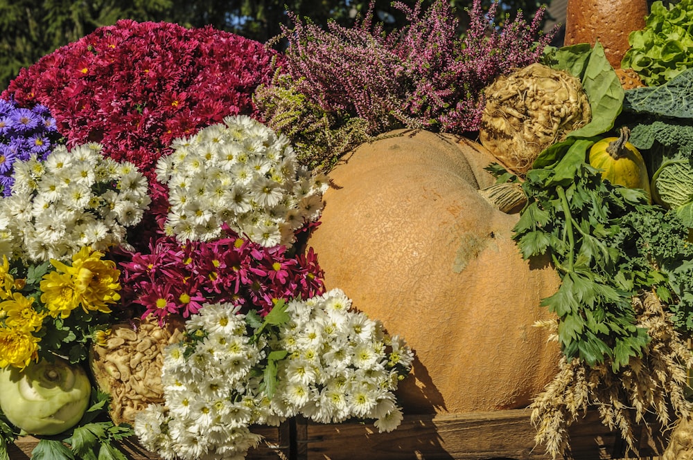 assorted flower and vegetable lot