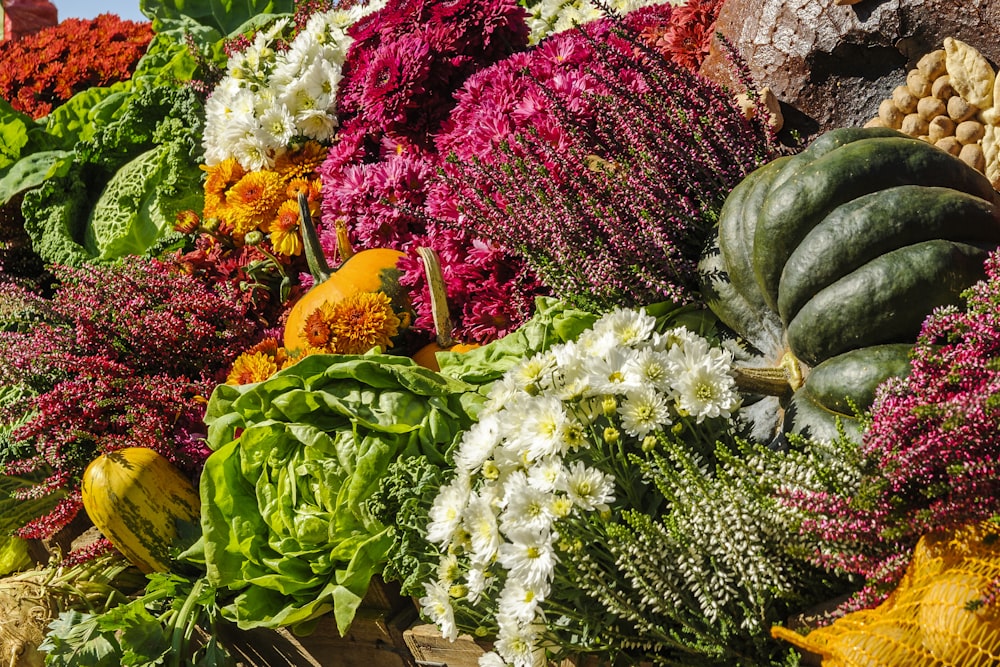 assorted vegetable and flower lot