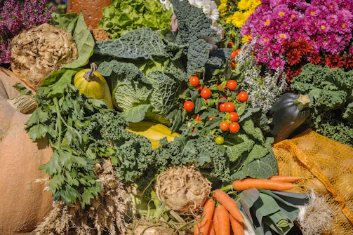 variety of vegetables