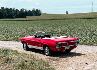 red vehicle near grass field