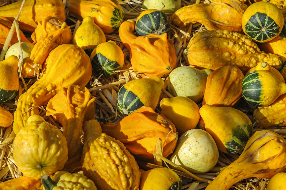 pile of gourds