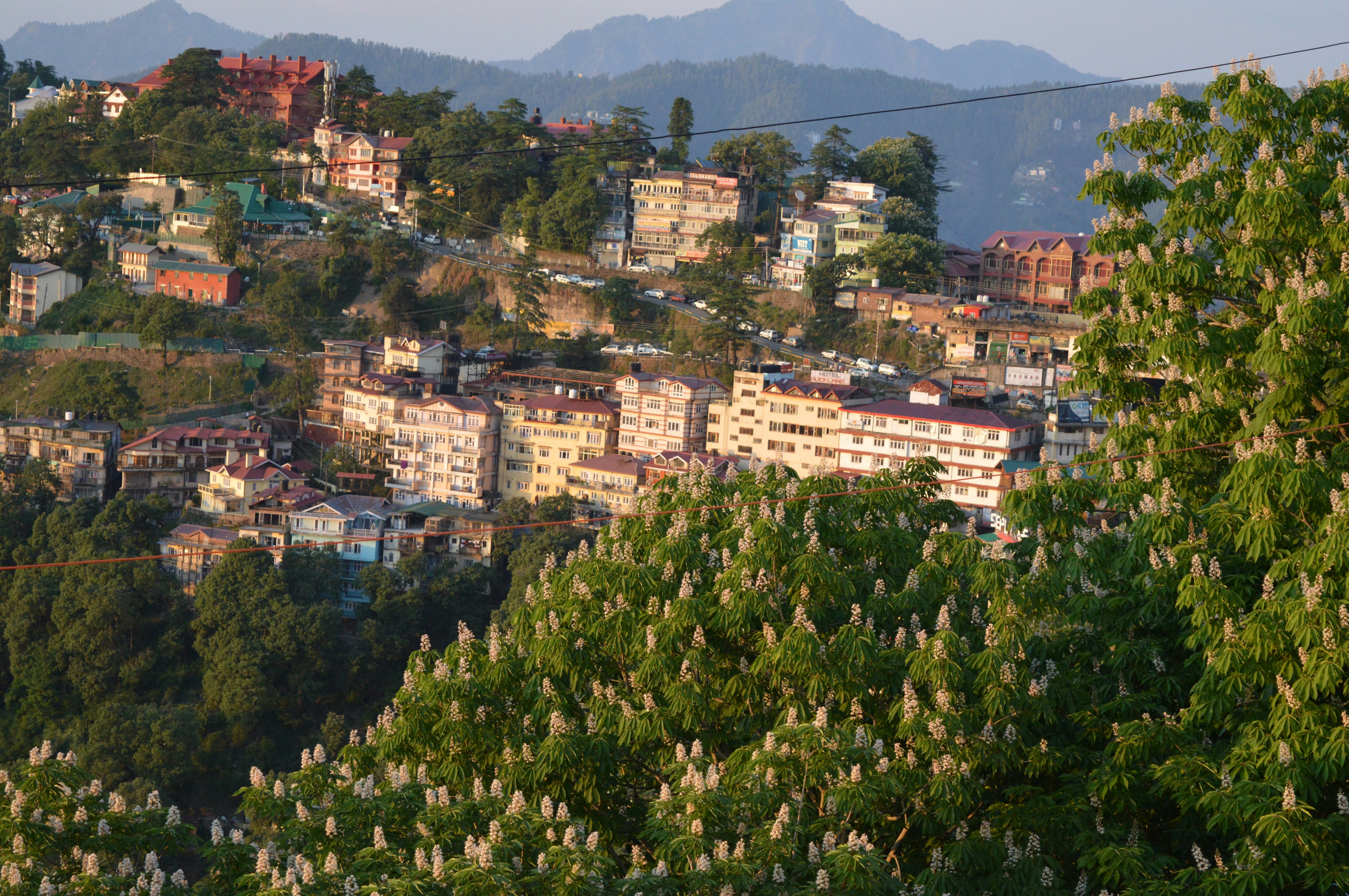 Photo by sopanshewale