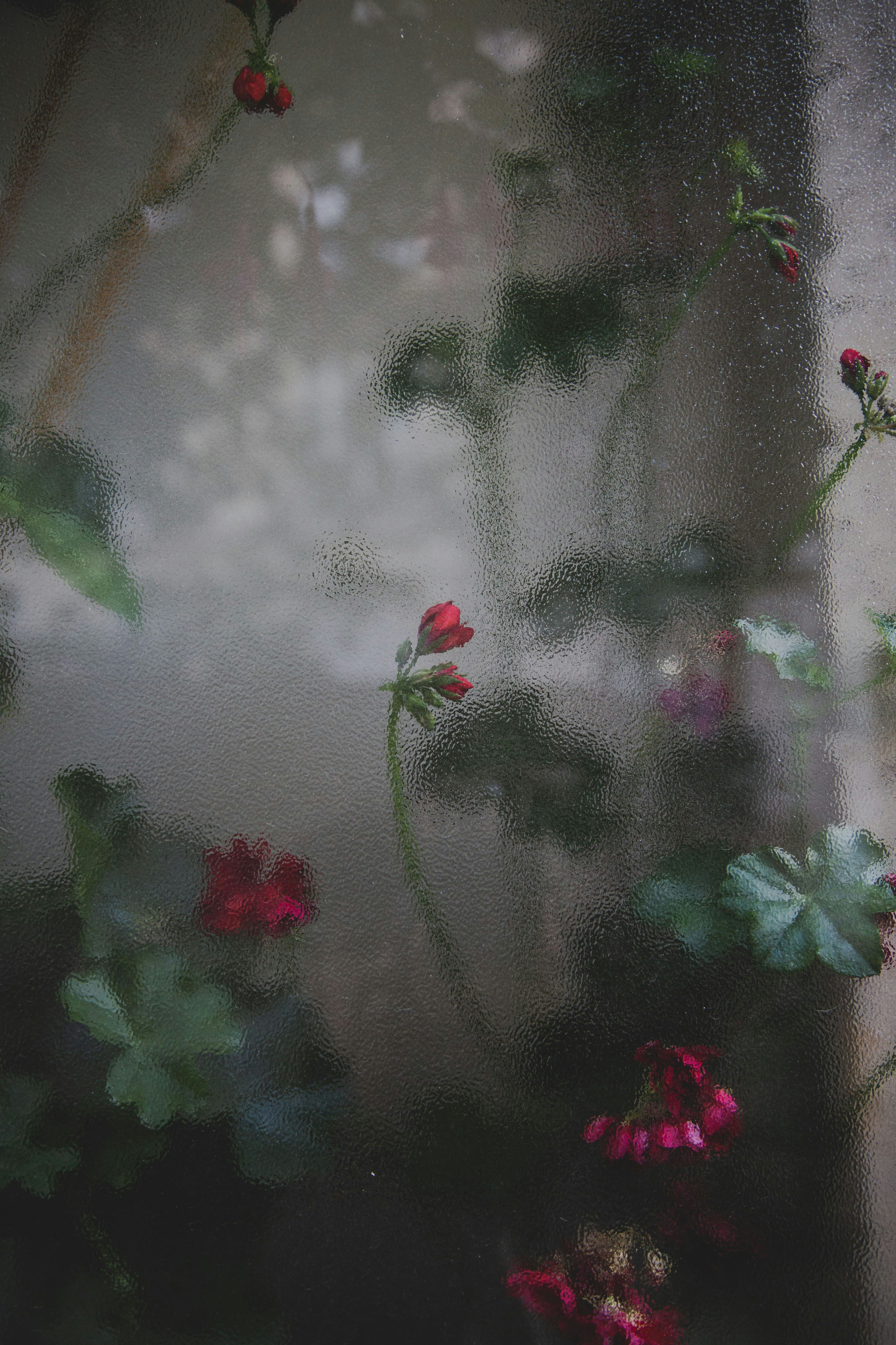 Photo by samefaisrire