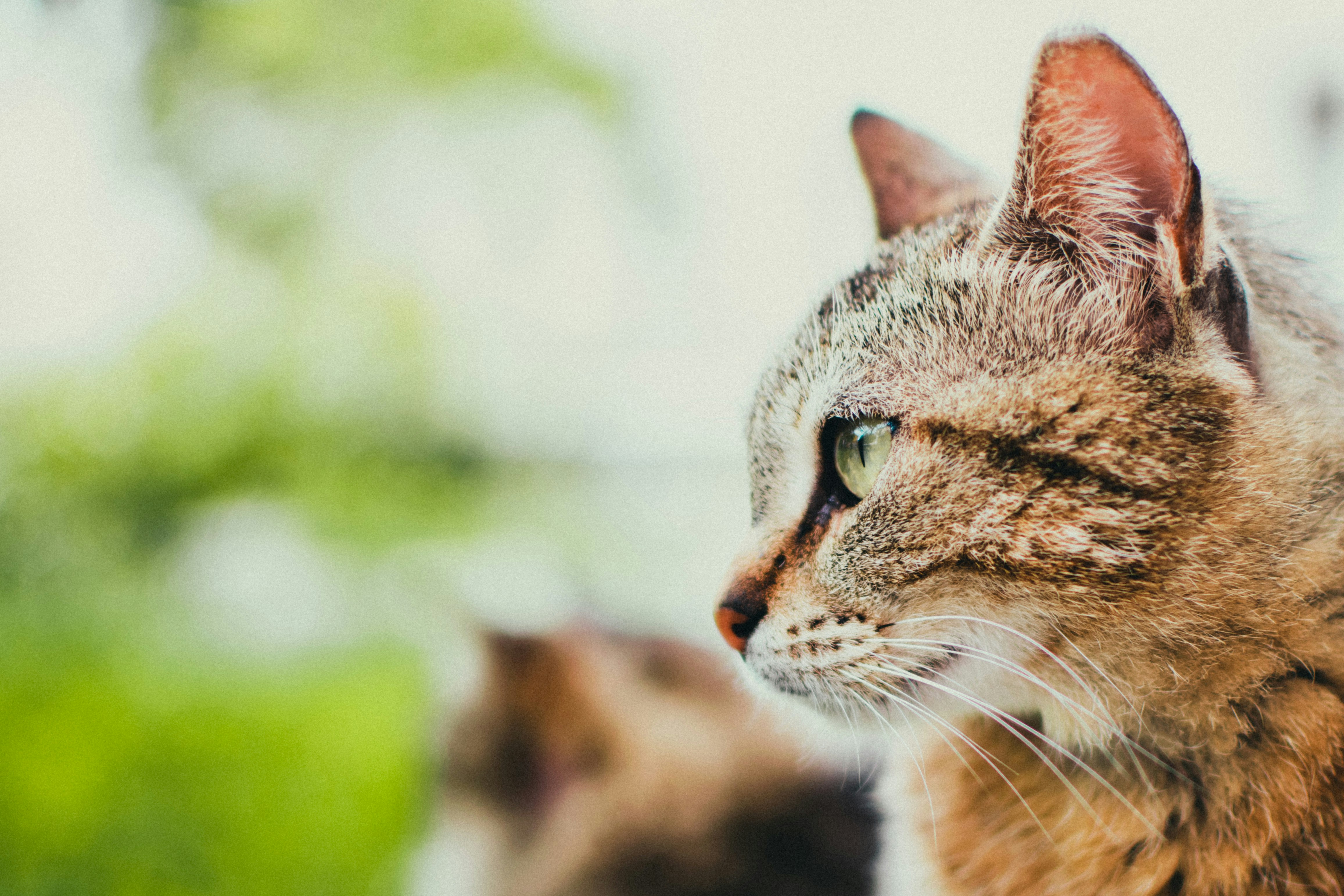 Photo by stavrialena