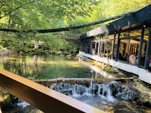 A serene setting featuring a restaurant with large windows overlooking a tranquil stream, surrounded by lush green trees. The water flows gently over small rocks, with a peaceful atmosphere as diners enjoy their meals inside.