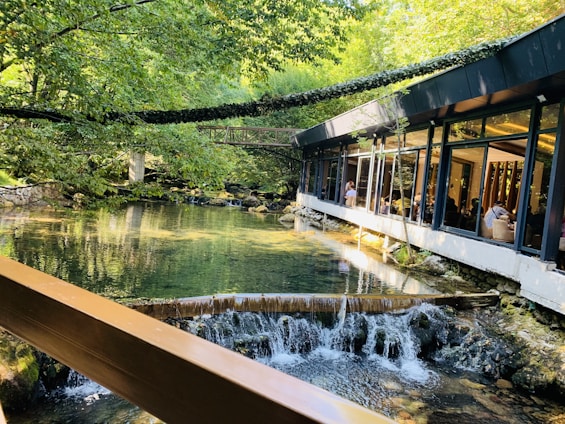 A serene setting featuring a restaurant with large windows overlooking a tranquil stream, surrounded by lush green trees. The water flows gently over small rocks, with a peaceful atmosphere as diners enjoy their meals inside.