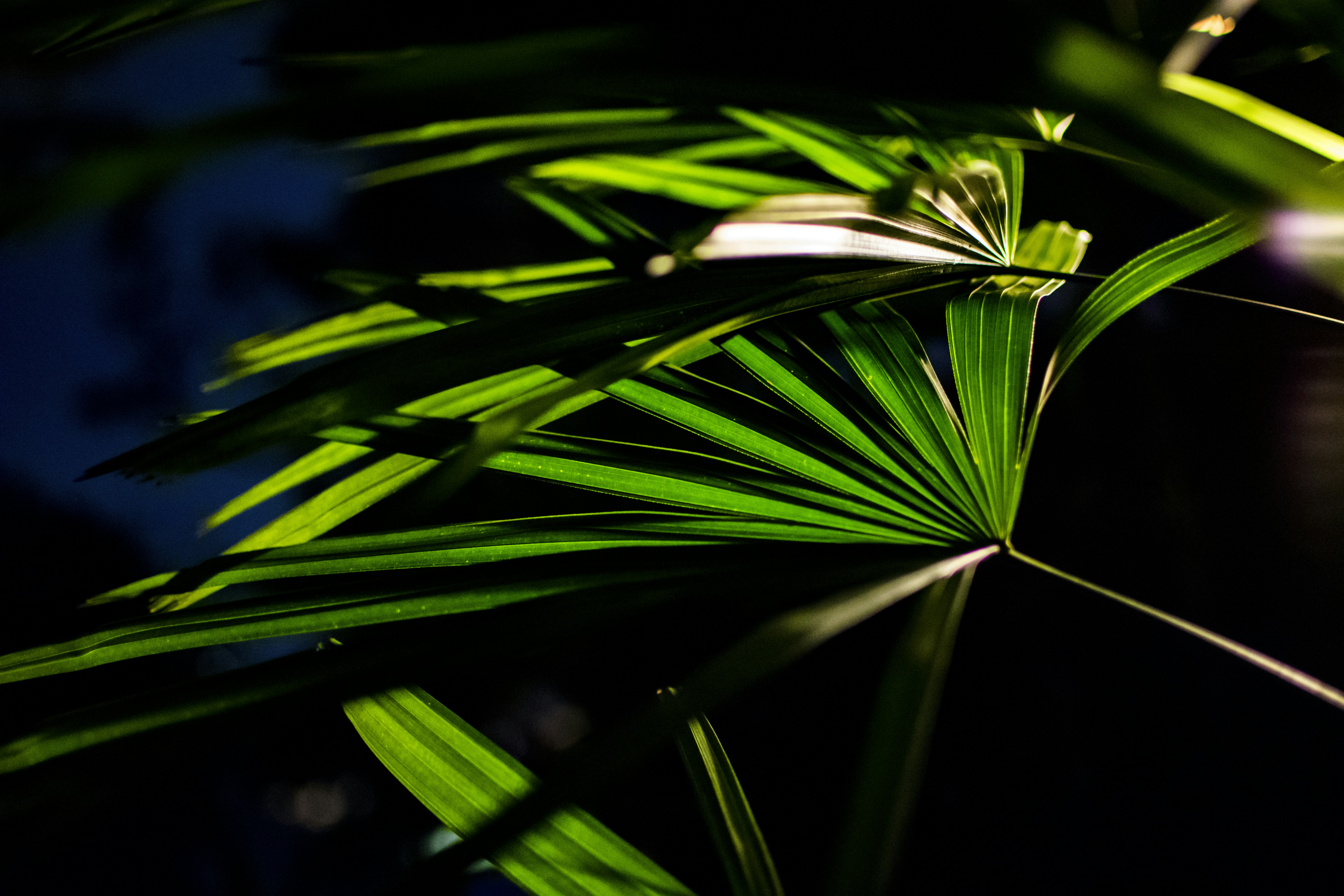 Photo by gervynlouis