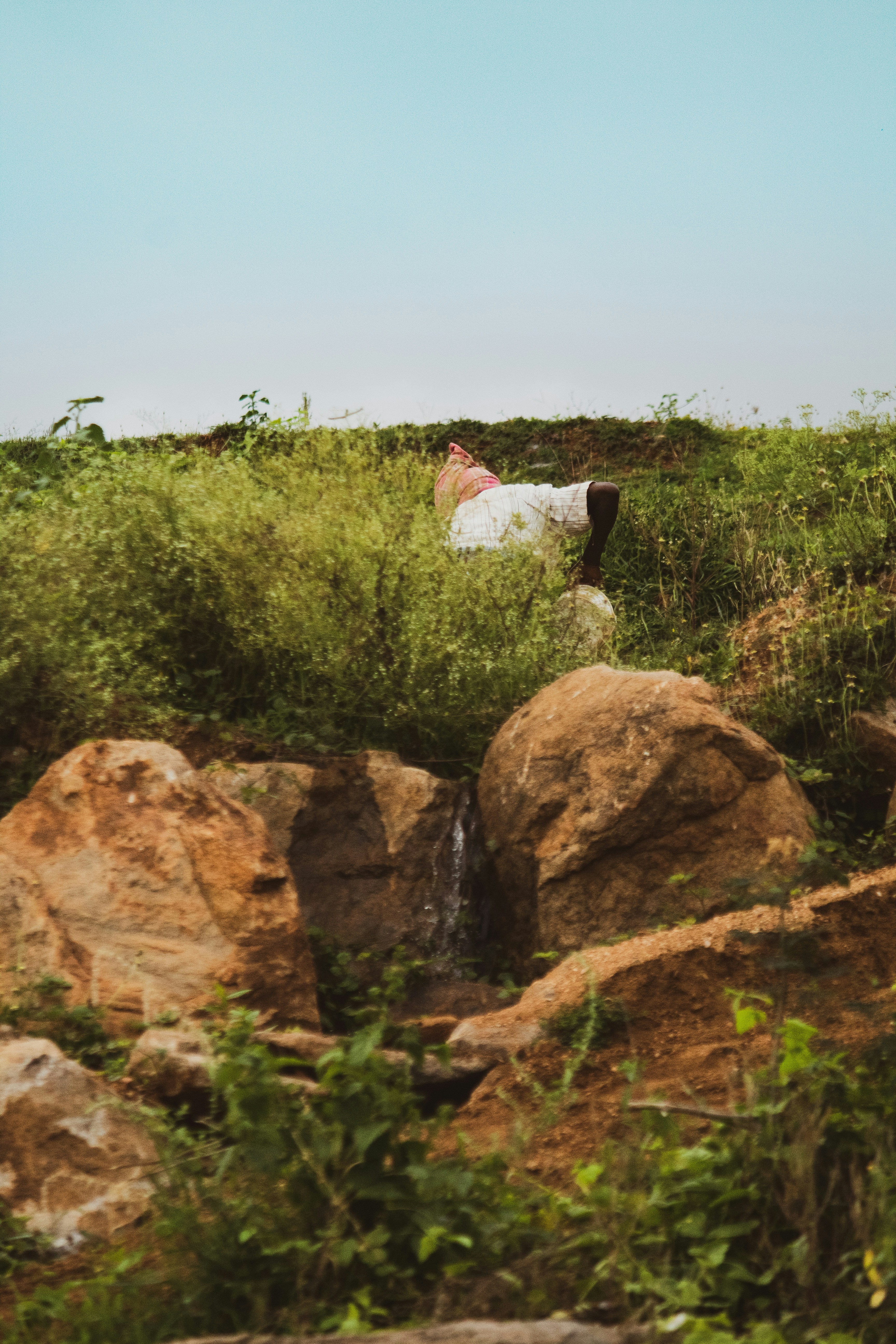 brown rock formation beside green plants