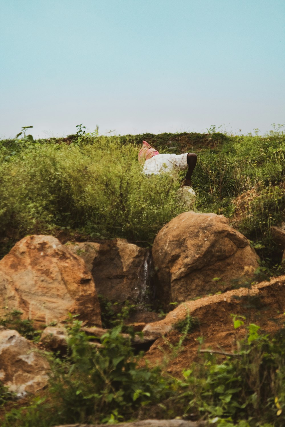 brown rock formation beside green plants