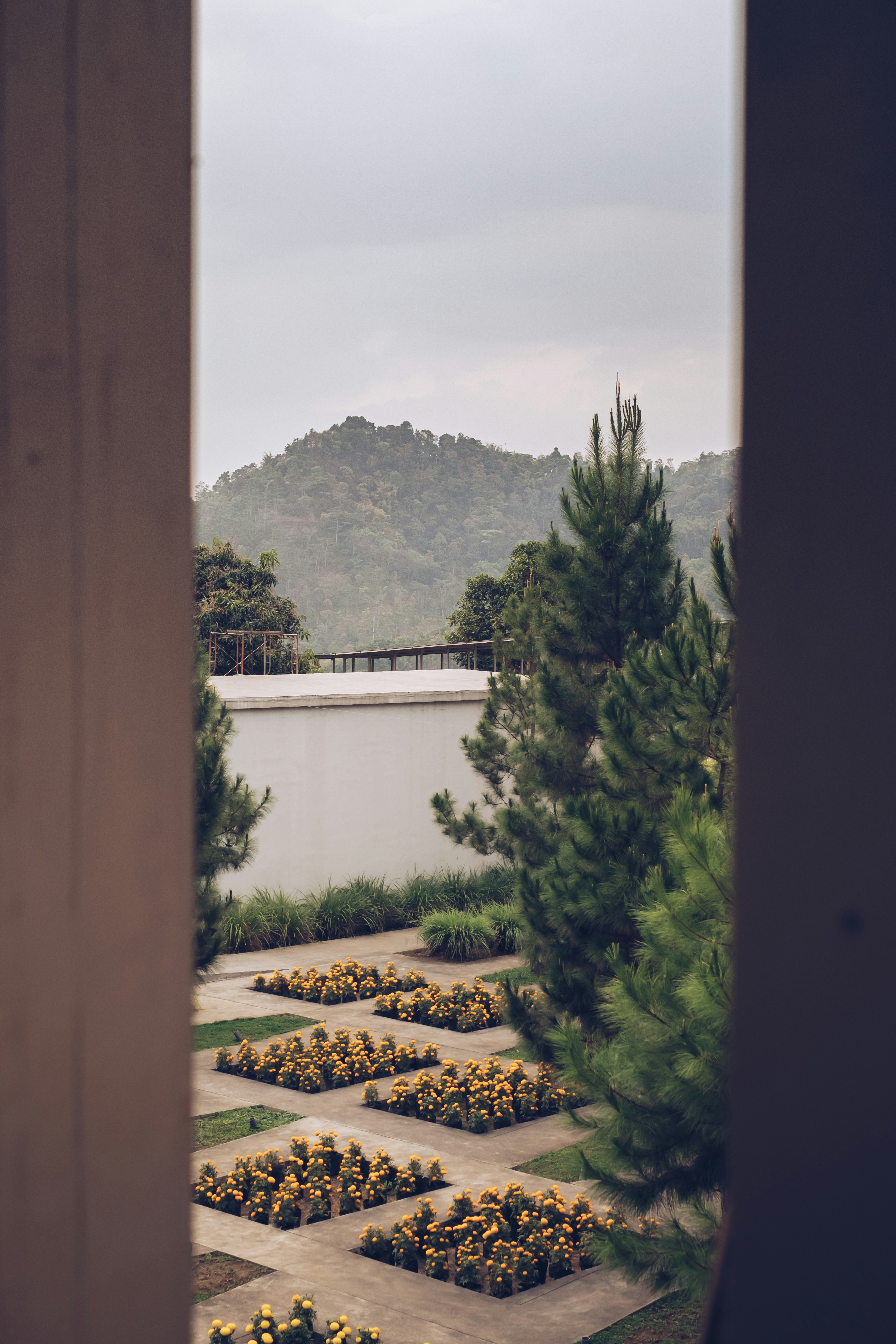 Photo by handywicaksono