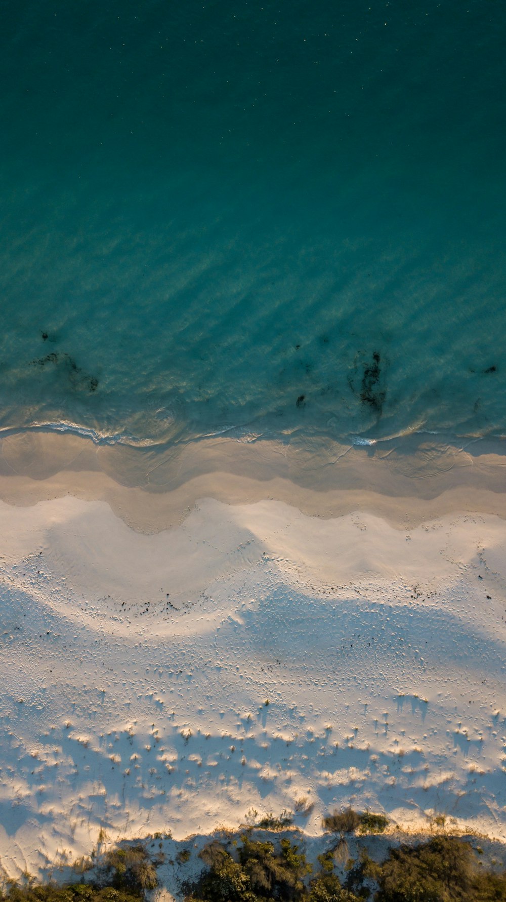 seashore near ocean