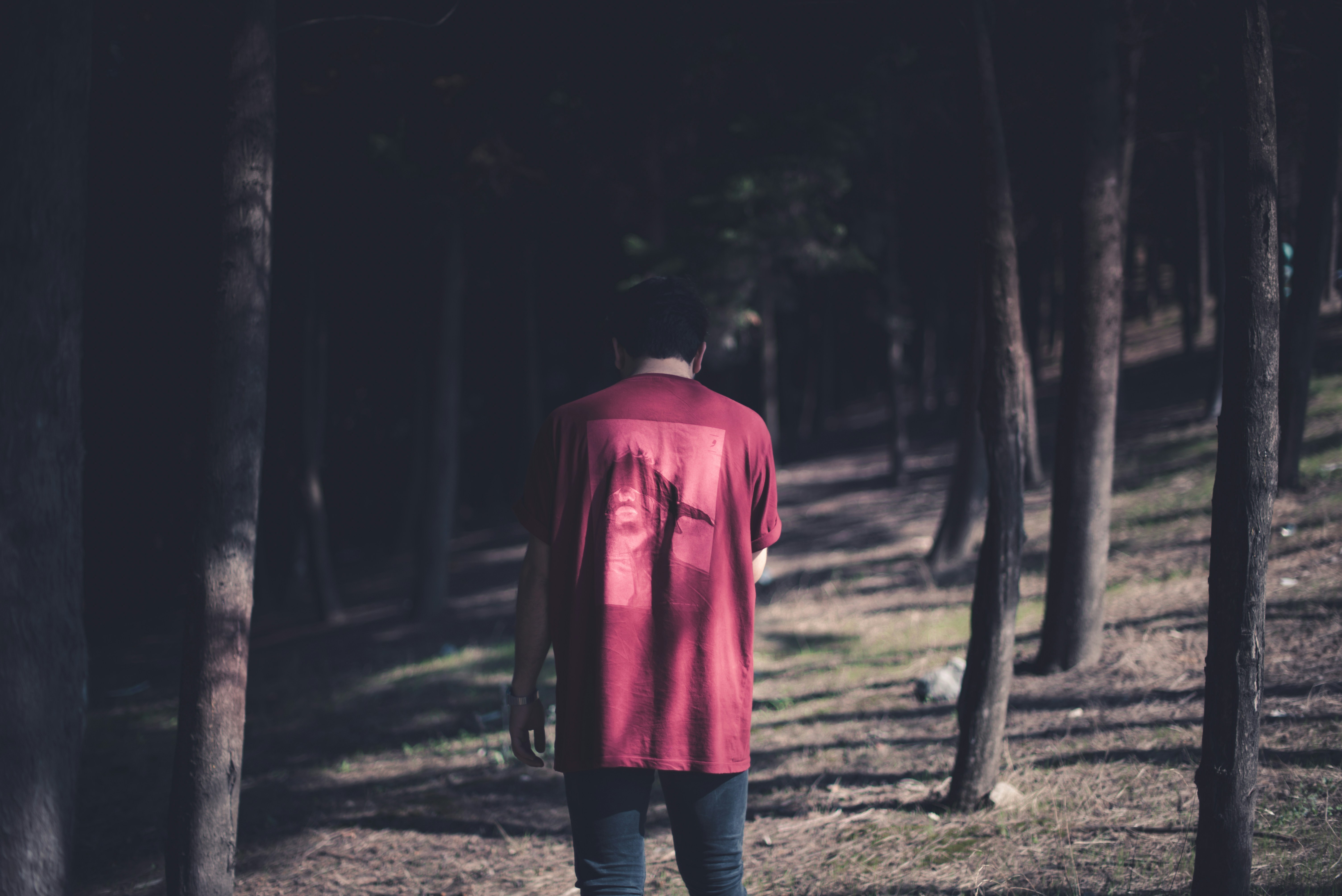 Photo by ardalanhamedani