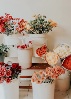 close-up photography of assorted flower on vases