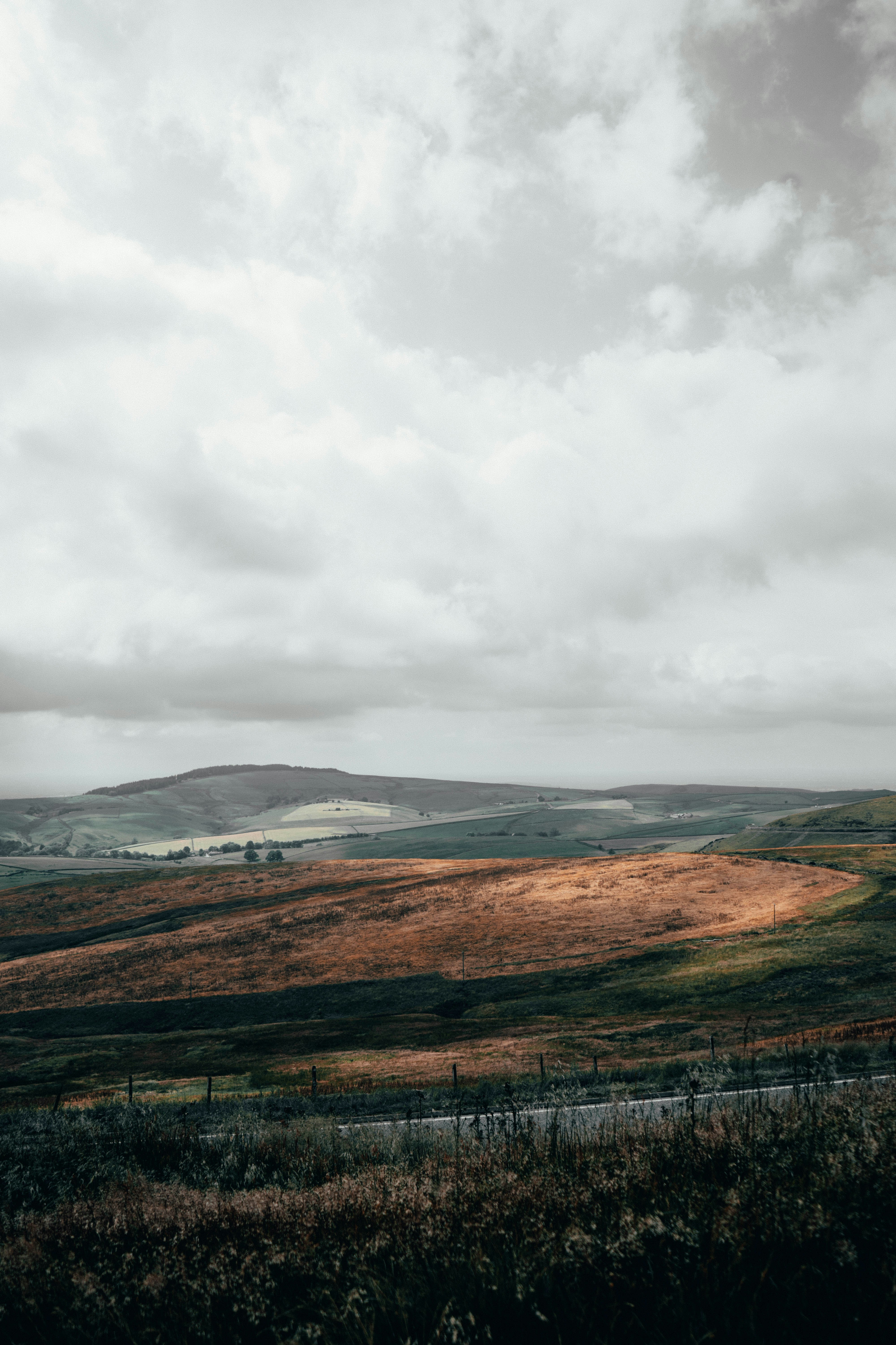 Photo by henry_ravenscroft_