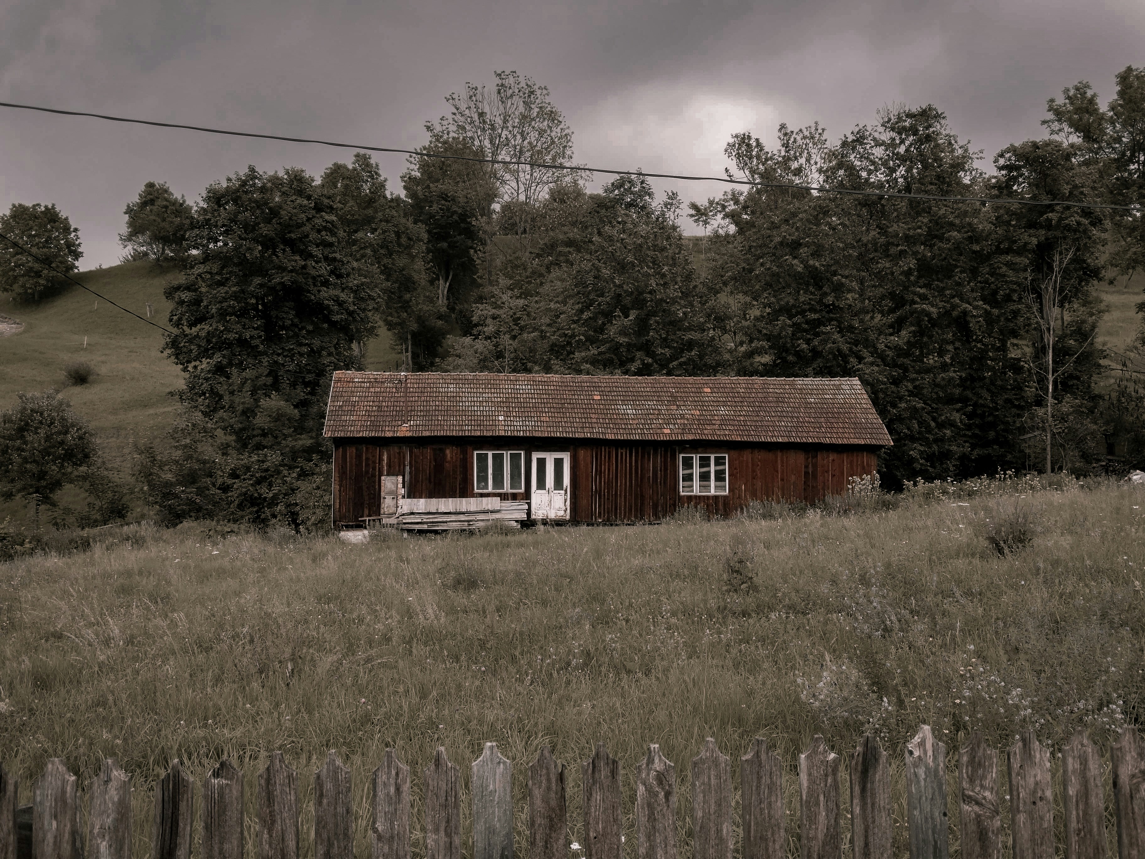 Photo by crinaparasca