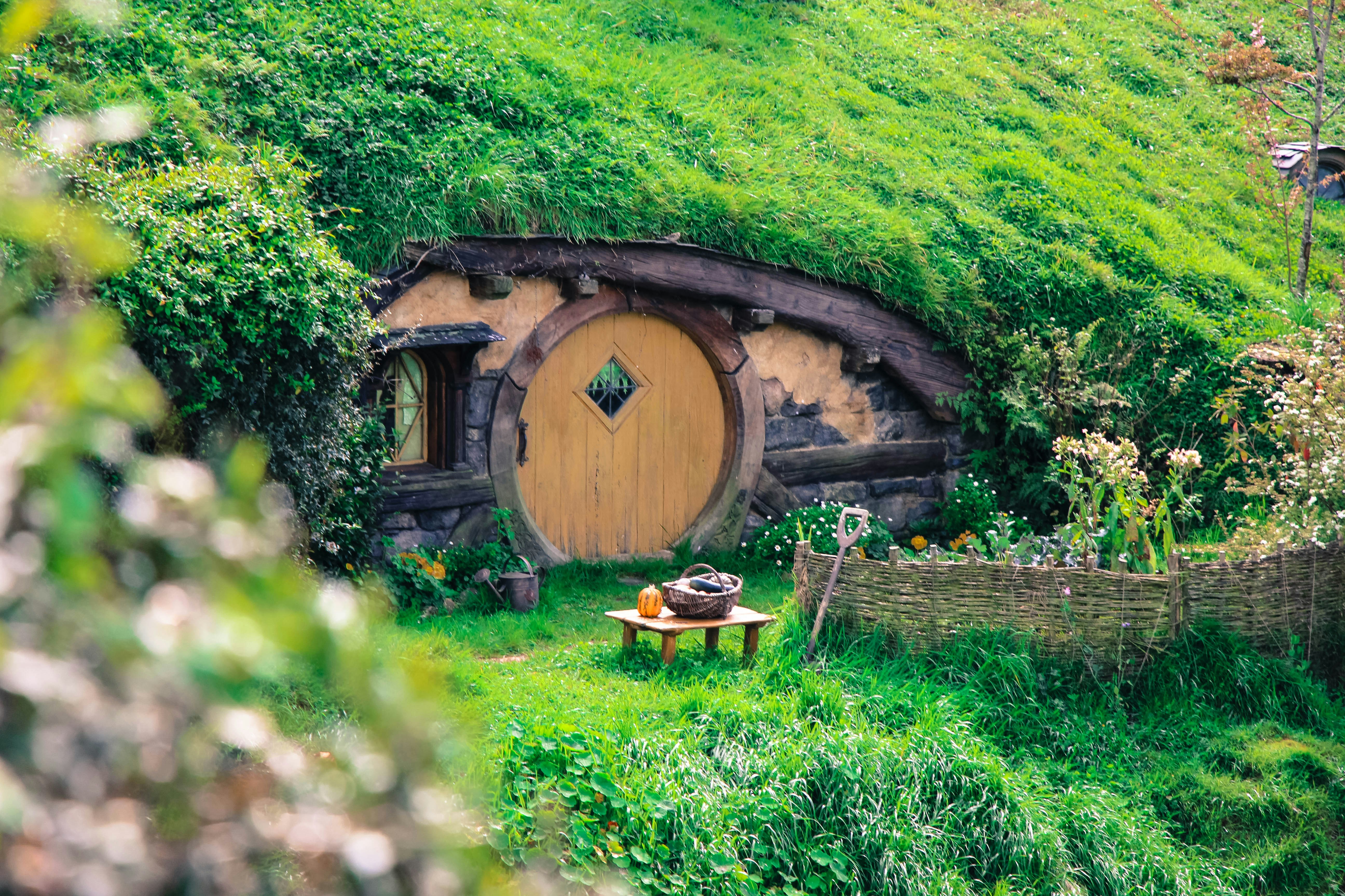 Photo by coffeecurtains