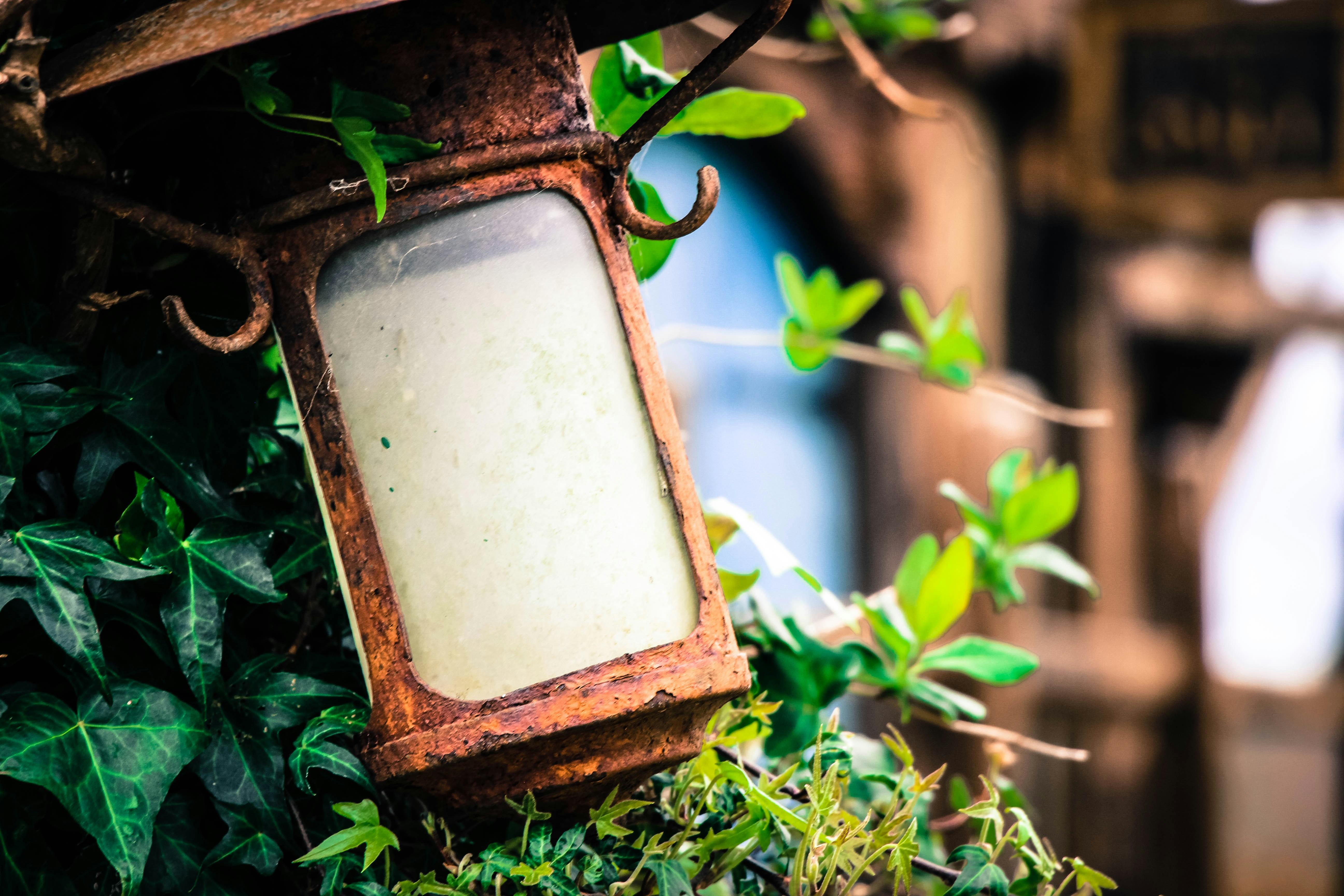 Photo by coffeecurtains