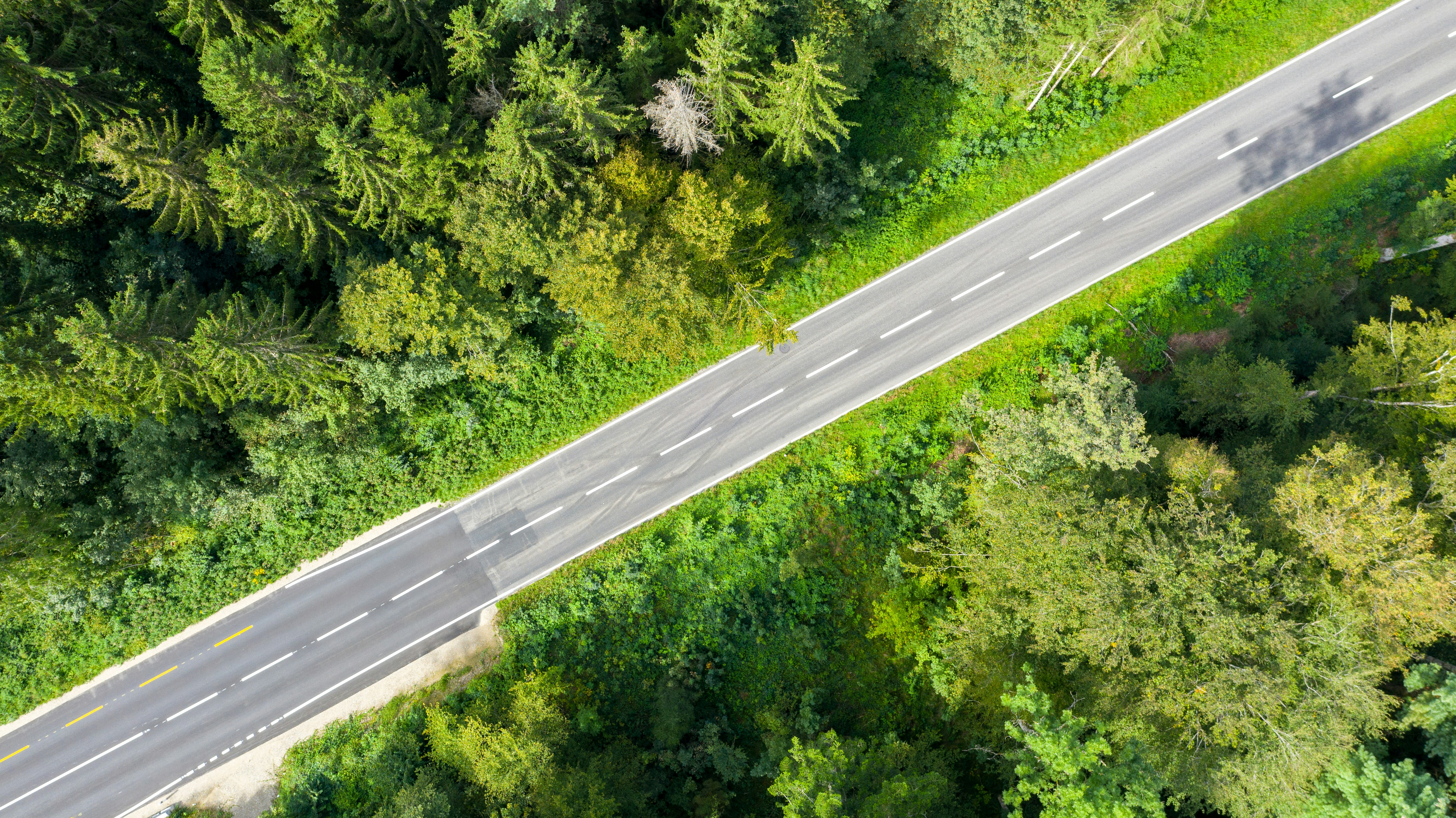 Photo by manuel_boxler