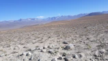 A panoramic view of the barrens landscape stretching under a clear blue sky