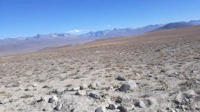 A panoramic view of the barrens landscape stretching under a clear blue sky