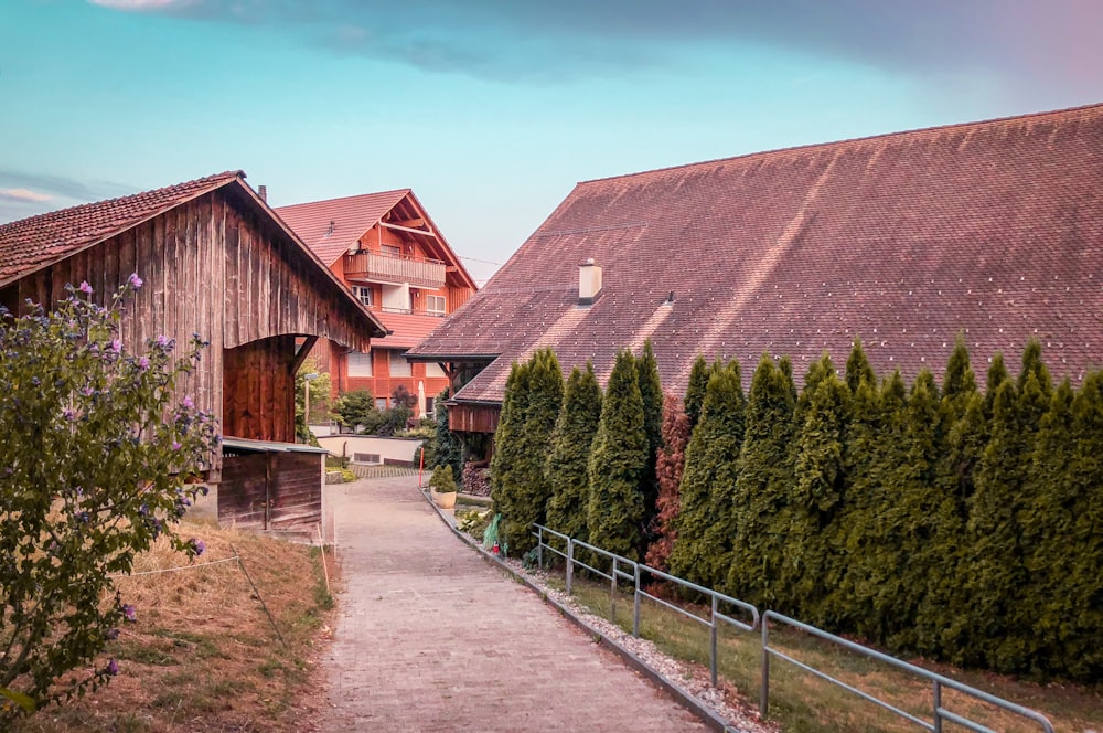 brown wooden house surrounded by green leafed plants under blue sky