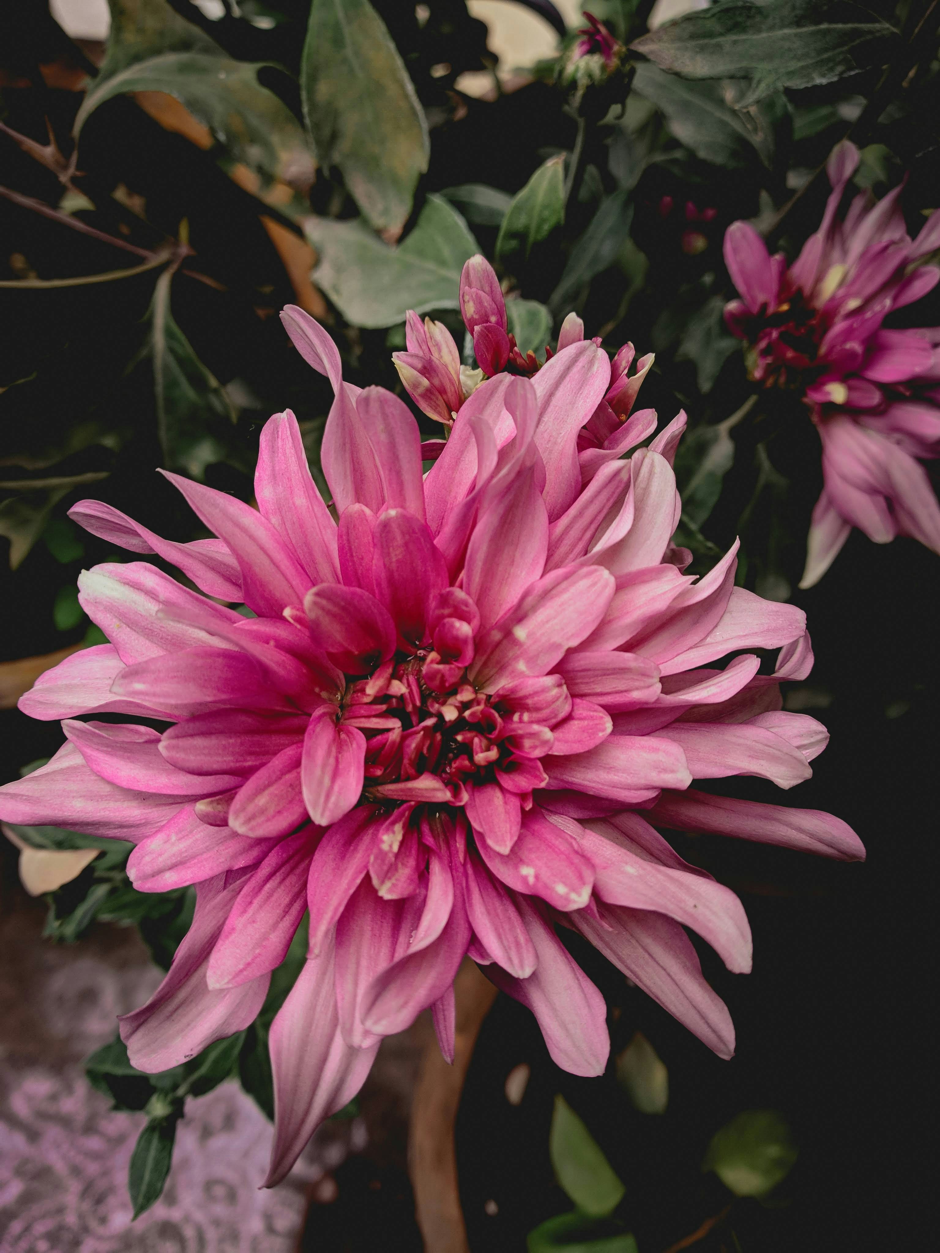 Photo by sharath046_