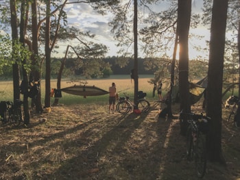 A serene outdoor camping scene set in a sunlit forest clearing. Bicycles are parked among trees, and a hammock is suspended between two trees. The ground is covered in dry grass, and long shadows are cast by the setting sun. People are preparing or relaxing, enjoying the tranquil environment.